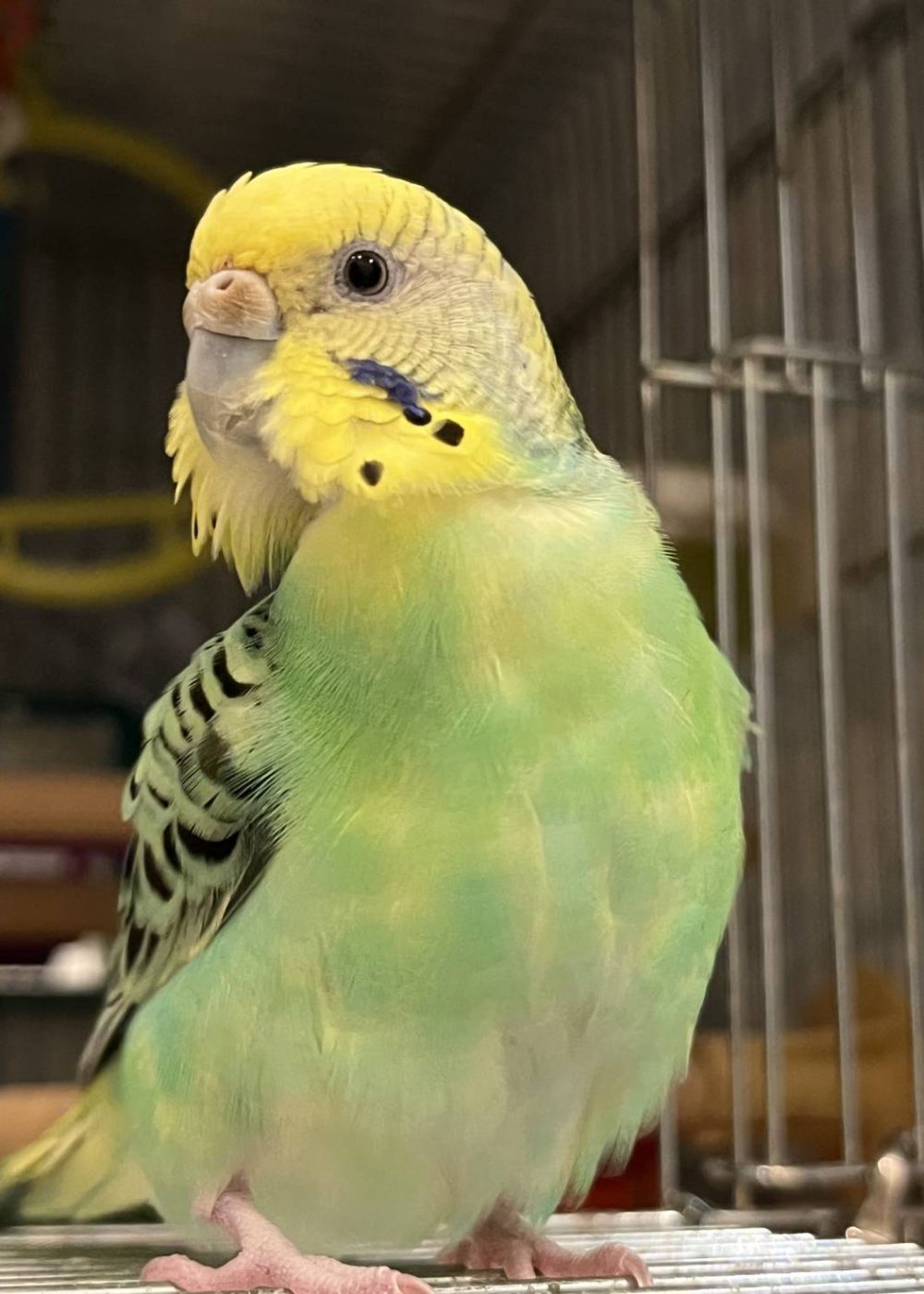 Nature Site slideshow