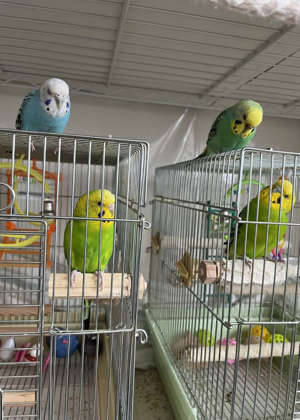 Nature Site slideshow