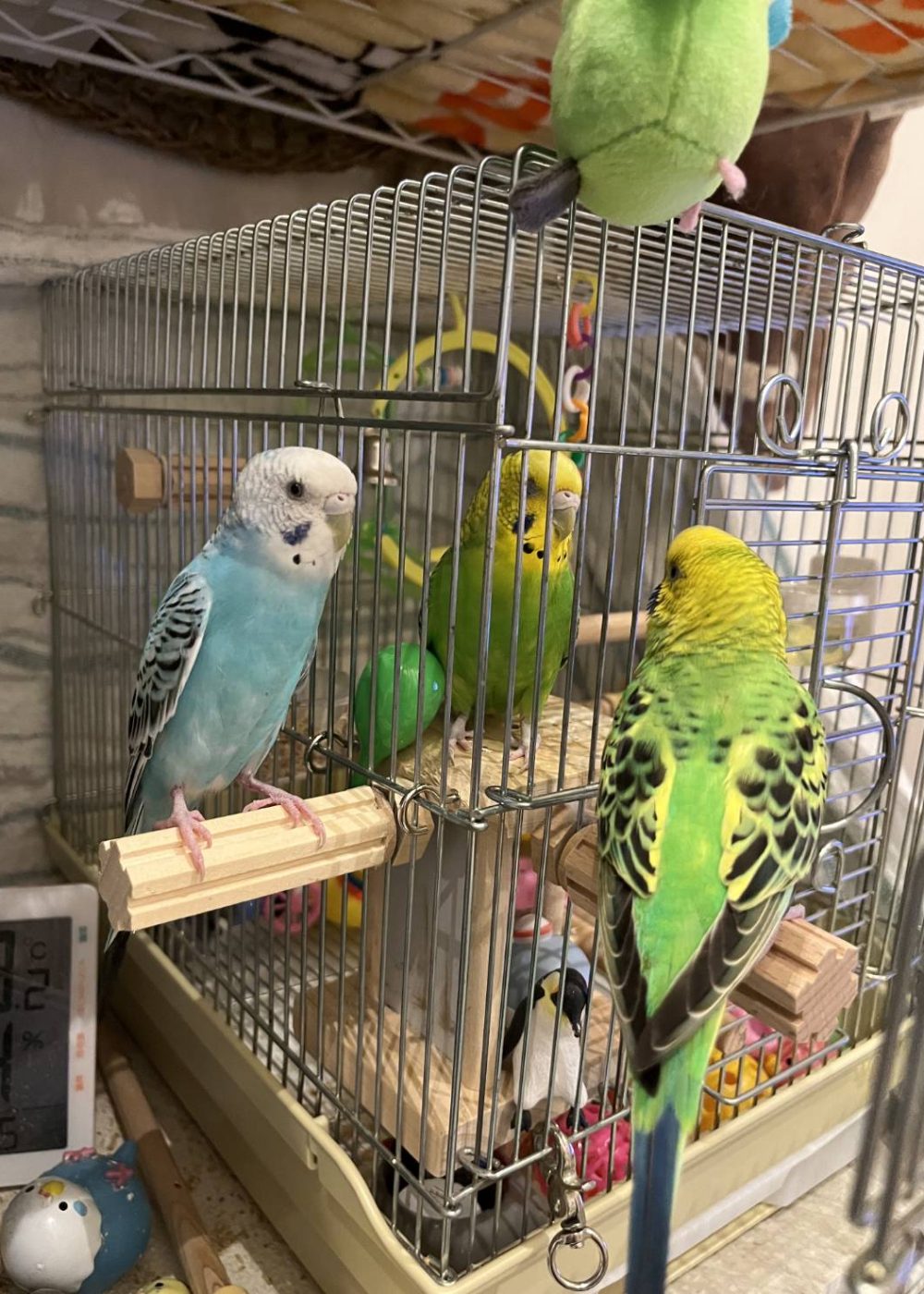 Nature Site slideshow