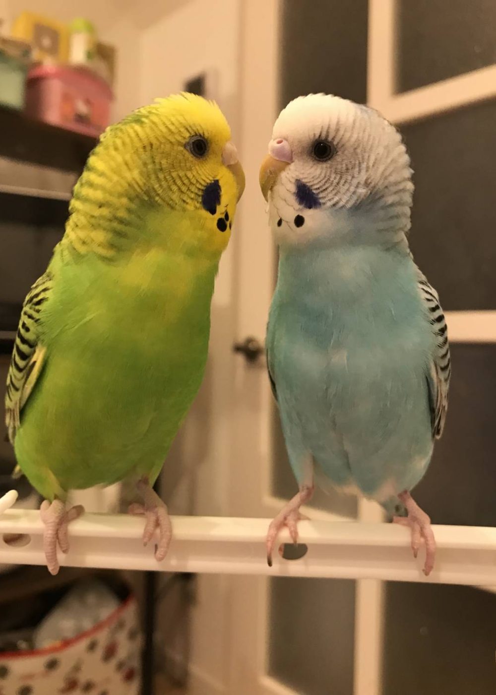 Nature Site slideshow